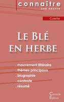 Fiche de lecture Le Blé en herbe de Colette (Analyse littéraire de référence et résumé complet)