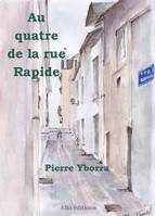 Au quatre de la rue Rapide, Roman