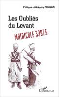 Les oubliés du Levant, Matricule 33975