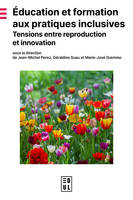 Education et formation aux pratiques inclusives, Tensions entre reproduction et innovation