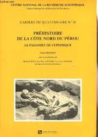 Préhistoire de la côte nord du Pérou, le Paijanien de Cupisnique