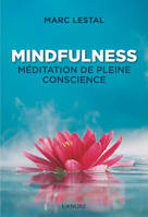 Mindfulness, Méditation de pleine conscience