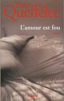 L'Amour est fou, roman