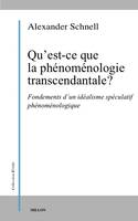 Qu'est-ce que la phénoménologie transcendantale ?, Fondements d'un idéalisme spéculatif phénoménologique