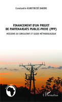 Financement d'un projet de partenariat public privé (PPP), Missions du consultant et guide méthodologique