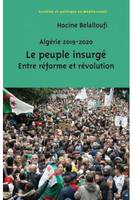 Algérie 2019-2020, le peuple insurgé, Entre réforme et révolution