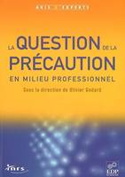 La question de la précaution en milieu professionnel