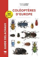 Insectes et autres invertébrés Coléoptères d'Europe
