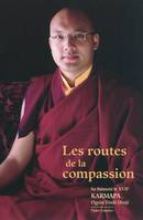 Les routes de la compassion, commentaire des 