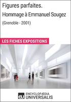 Figures parfaites. Hommage à Emmanuel Sougez (Grenoble - 2001), Les Fiches Exposition d'Universalis