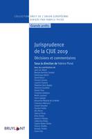 Jurisprudence de la CJUE 2019, Décisions et commentaires