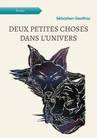 Deux petites choses dans l’univers