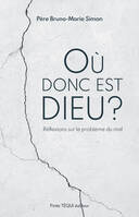 Où donc est Dieu ?, Réflexions sur le problème du mal