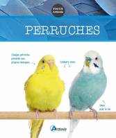 Les perruches