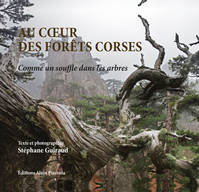 Au coeur des forêts corses, Comme un souffle dans les arbres