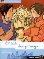 13, Clara et les poneys t.13 a l'ecole des poneys
