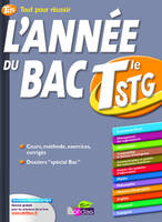 L'année du bac terminale STG