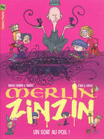 Merlin zinzin, 7, Un sort au poil!