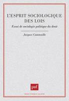 L'ESPRIT SOCIOLOGIQUE DES LOIS, essai de sociologie politique du droit