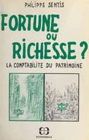 Fortune ou richesse ? La comptabilité du patrimoine