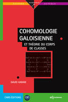 Cohomologie galoisienne, Et théorie du corps de classes