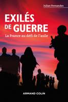 Exilés de guerre - La France au défi de l'asile, La France au défi de l'asile