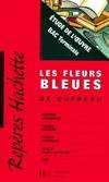 Les fleurs bleues Queneau : étude de l'oeuvre, étude de l'oeuvre