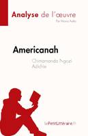 Americanah de Chimamanda Ngozi Adichie (Analyse de l'oeuvre), Résumé complet et analyse détaillée de l'oeuvre