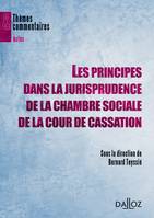 Les principes dans la jurisprudence de la chambre sociale de la Cour de cassation, Thèmes et commentaires