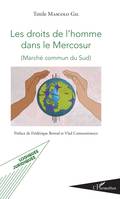 Les droits de l'homme dans le Mercosur, Marché commun du Sud