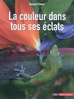 La couleur dans tous ses éclats