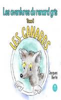 Les aventures du renard gris - Tome 2, Les canards