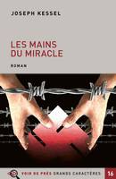 Les mains du miracle, Roman