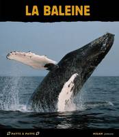 La Baleine