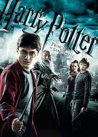 Harry Potter 6 : le prince de sang-mêlé  (DVD)