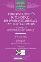 Les droits et libertés du numérique : des droits fondamentaux en voie d'élaboration, Étude comparée en droits français et américain