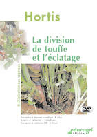 Division de touffe et l'éclatage