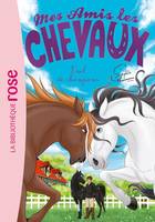 32, Mes amis les chevaux / Duel de champions / Ma première bibliothèque rose