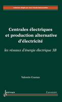 3B, Centrales électriques et production alternative d'électricité, Les réseaux d'énergie électrique, Centrales électriques et production alternative d'électricité