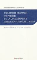 Trinite et creation au prisme de la voie negative