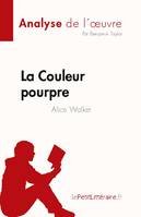 La Couleur pourpre de Alice Walker (Analyse de l'oeuvre), Résumé complet et analyse détaillée de l'oeuvre