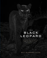 The Black Leopard