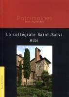 La collégiale Saint-Salvi Albi, Albi