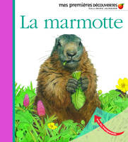 La marmotte