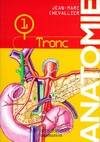 Anatomie., 1, Le tronc, Anatomie, Le tronc