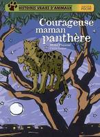 Histoires vraies d'animaux, Courageuse maman panthère