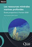 Les ressources minérales marines profondes, Étude prospective à l'horizon 2030.