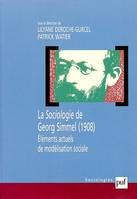 La sociologie de Simmel, Éléments de modélisation sociale