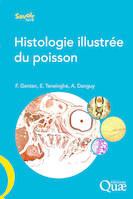 Histologie illustrée du poisson