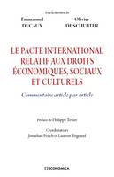 Le pacte international relatif aux droits économiques, sociaux et culturels, Commentaire article par article